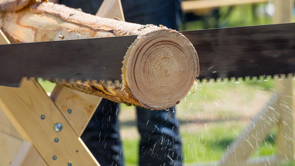 Sawing Competition