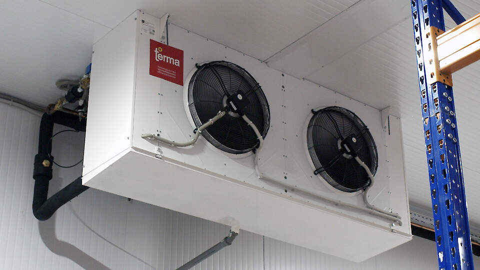TERMA