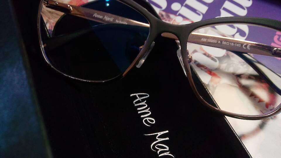 Eritellimusel klaasipuhastuse lapid