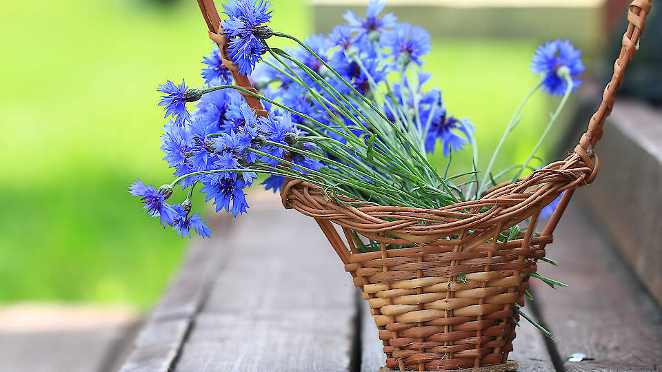 Christelle Cosmetics │ Dabīgā kosmētika