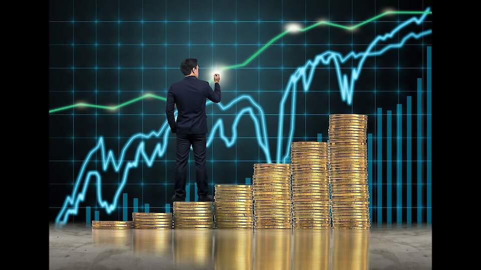 Инвестиционный раздел