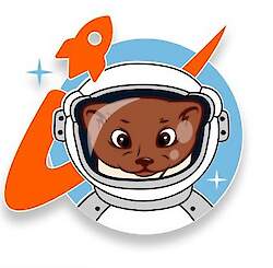 Туристско-информационный центр Амурской области