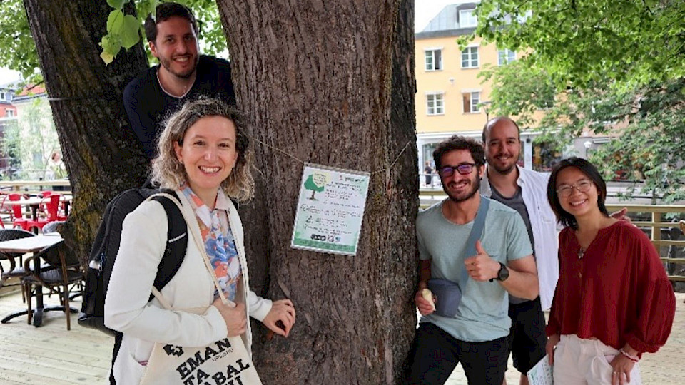 Adapting to Climate Change: Ecosystem Services of Urban Green Zones