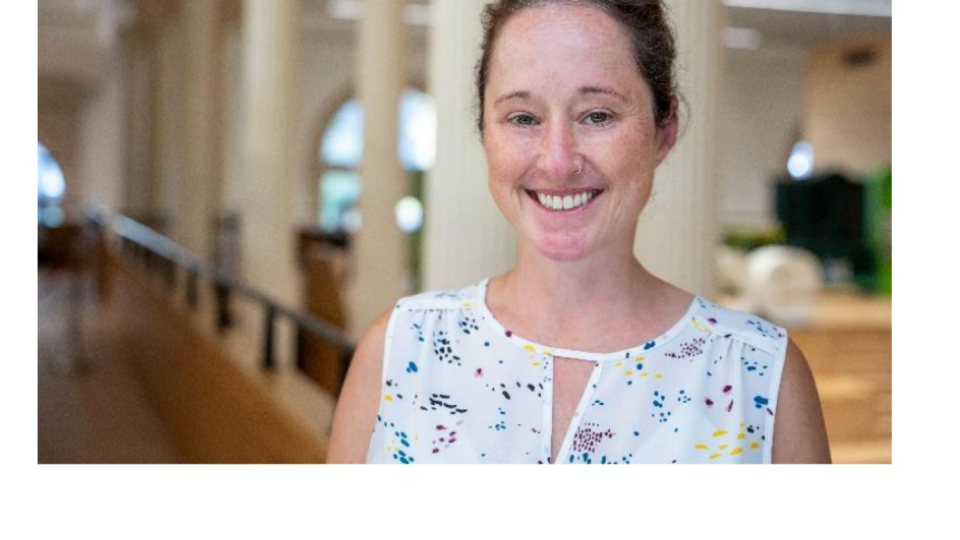 Critical Tourism Studies and Virtual Township Tour