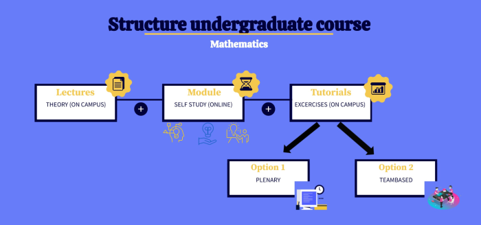 How to reduce math anxiety in an undergraduate course?