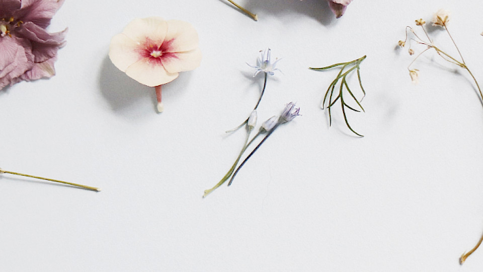 Eesti Floristika Kool