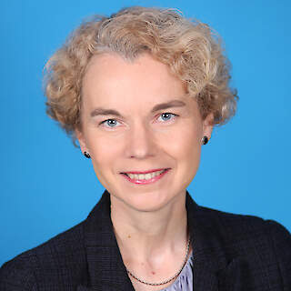 Director, International Centre for Defence Studies (ICDS)