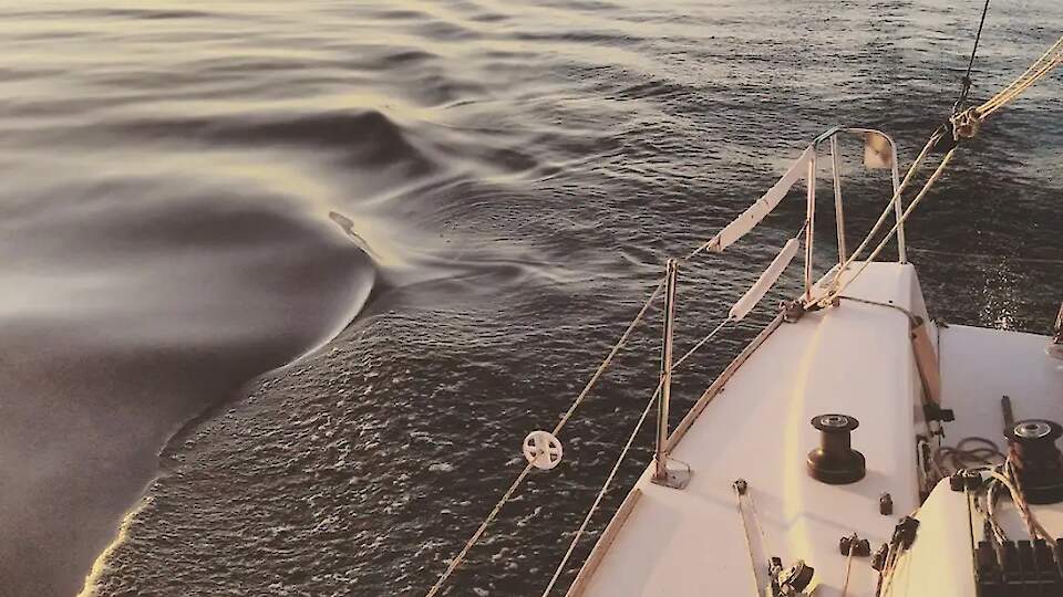 Baltic Sail