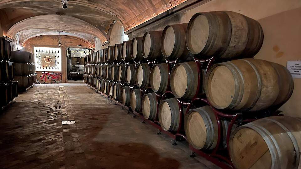Vinoforever OÜ