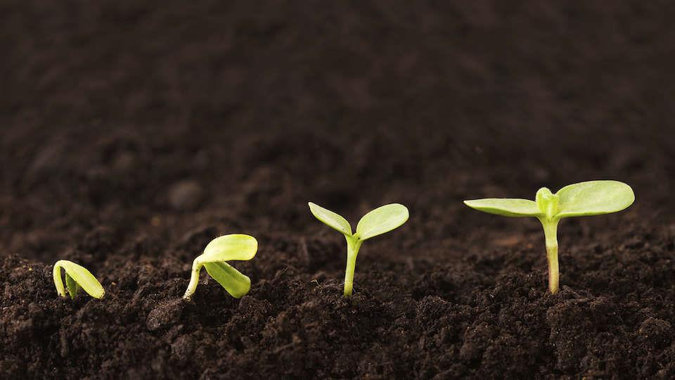 Kodu & Aed Magazine at a Discount!