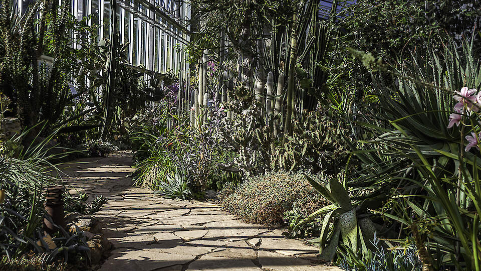 Come to Tallinn's Botanic Garden