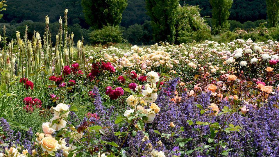 Garden.ee | We make gardens smile!